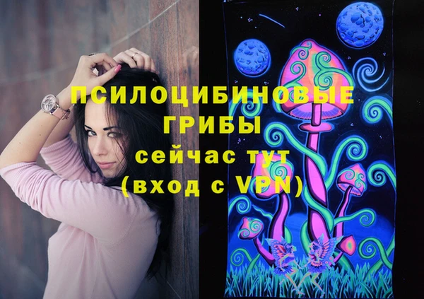 кокс Баксан
